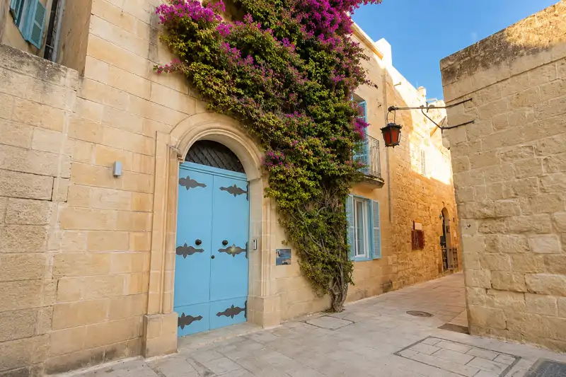 Una callejuela tranquila de Mdina de piedra caliza color miel, con una puerta azul con tachuelas y buganvilla en flor por encima.